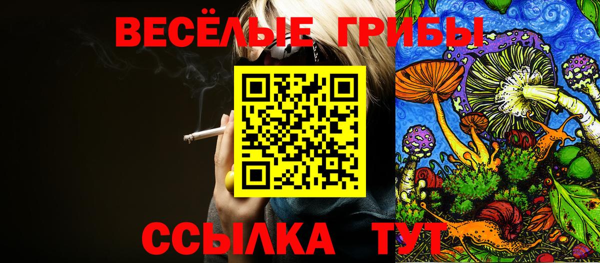 Псилоцибиновые грибы Psilocybine cubensis Лабинск