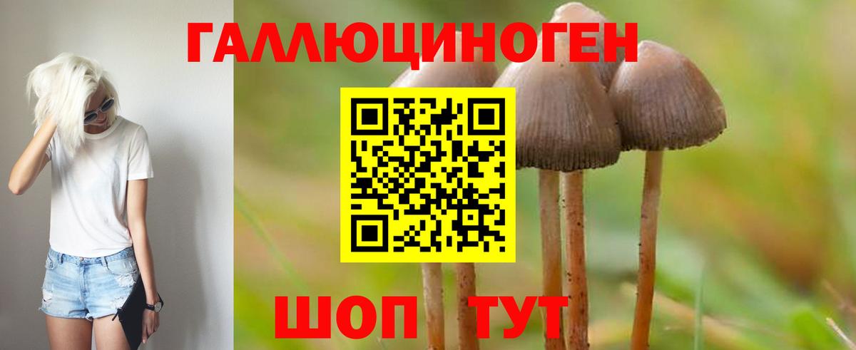 Псилоцибиновые грибы Psilocybe  Вход с VPN  Псилоцибиновые грибы прущие грибы  Лабинск 